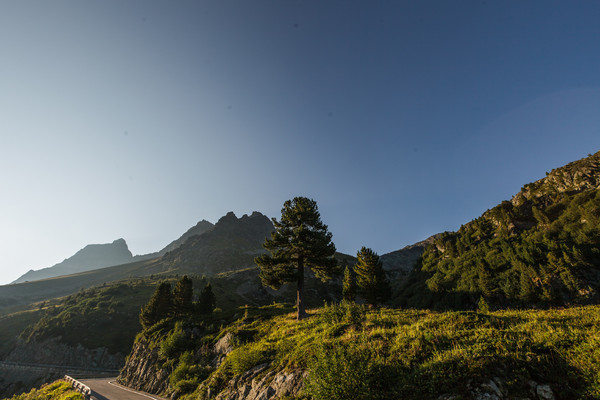 Morgenstimmung beim Albulapass zwischen Preda und La Punt-Chamues-ch