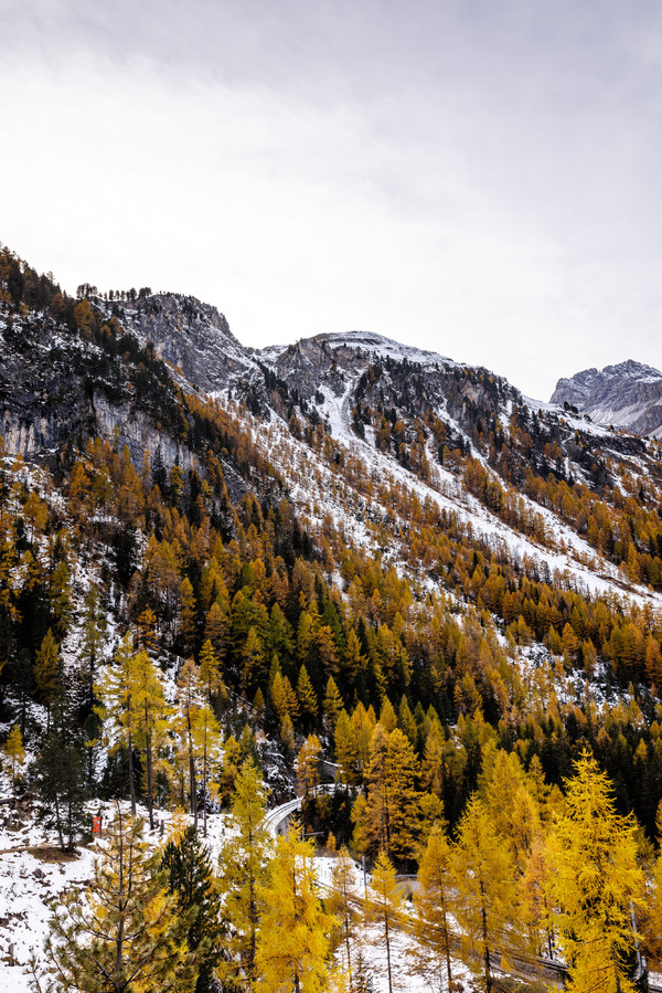 Herbststimmung mit erstem Schnee auf dem Albulapass.