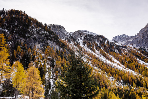Herbststimmung mit erstem Schnee auf dem Albulapass.