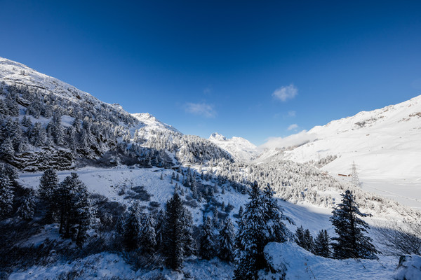 Albulapass, Graubünden, Schweiz