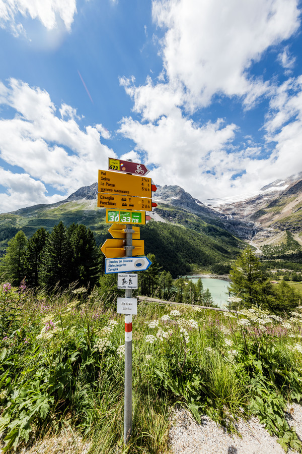 Alp Grüm, Berninapass, Valposchiavo, Graubünden, Schweiz, Switzerland