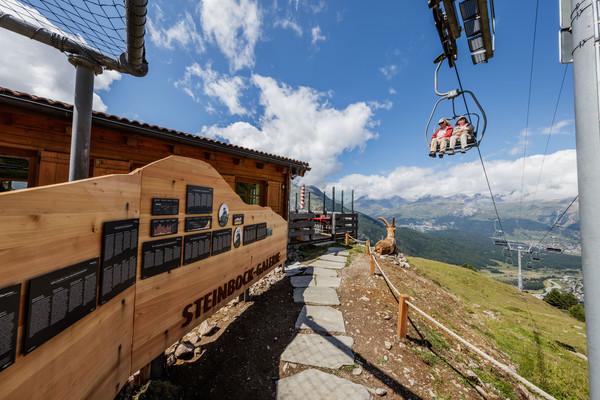 Auf der Alp Languard oberhalb von Pontresina im Oberengadin