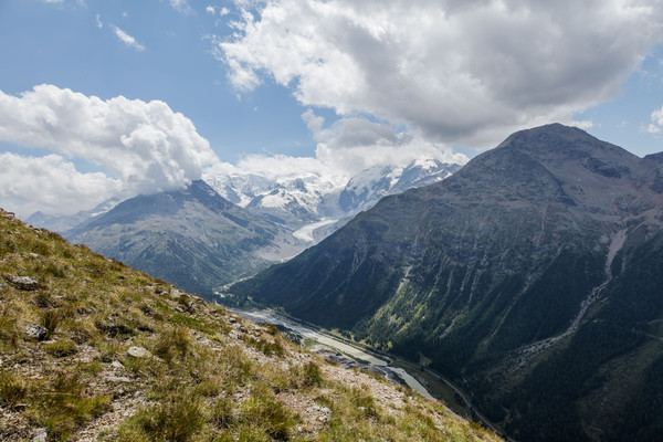 Wandern auf der Alp Languard oberhalb von Pontresina im Oberengadin