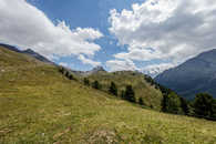 Alp Languard, Pontresina, Oberengadin, Graubünden, Schweiz