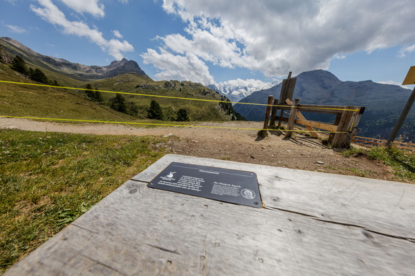 Auf der Alp Languard oberhalb von Pontresina im Oberengadin