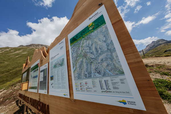 Auf der Alp Languard oberhalb von Pontresina im Oberengadin