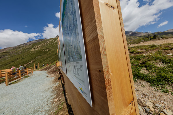 Auf der Alp Languard oberhalb von Pontresina im Oberengadin