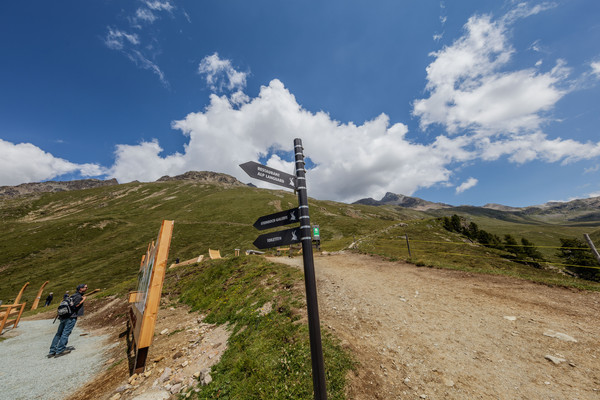 Auf der Alp Languard oberhalb von Pontresina im Oberengadin