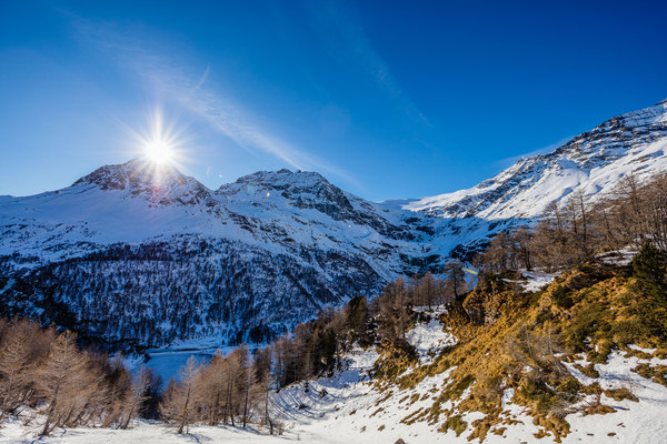 Alp Grüm, Berninapass, Valposchiavo, Graubünden, Schweiz, Switzerland