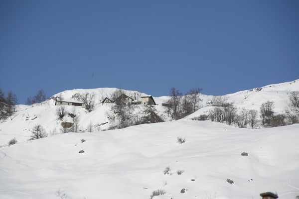 Telvet oberhalb Ardez, Unterengadin