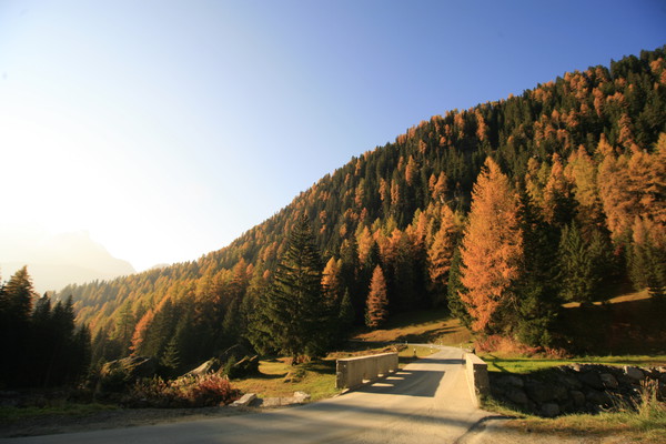 Herbst im Val Tasna bei Ardez, Unterengadin