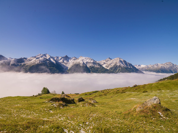 Über dem Nebelmeer, Munt bei Ardez im Unterengadin