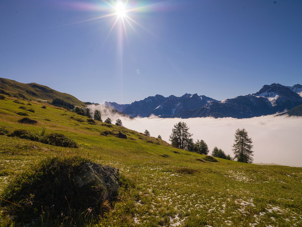 Über dem Nebelmeer, Munt bei Ardez im Unterengadin