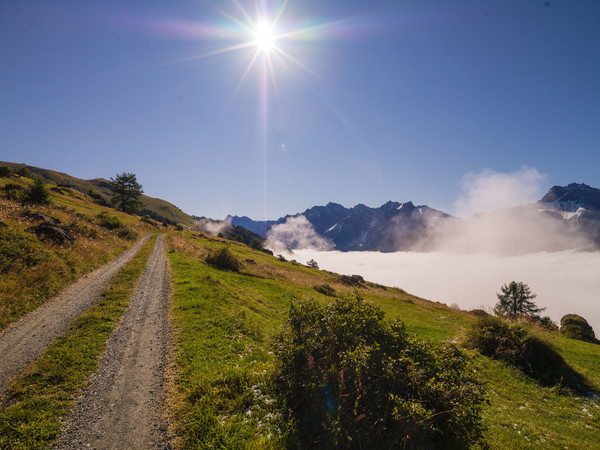 Über dem Nebelmeer, Munt bei Ardez im Unterengadin