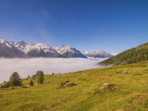 Über dem Nebelmeer, Munt bei Ardez im Unterengadin