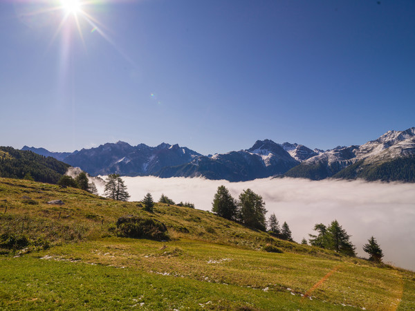 Über dem Nebelmeer, Munt bei Ardez im Unterengadin