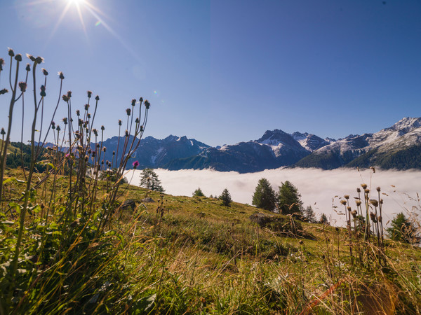 Über dem Nebelmeer, Munt bei Ardez im Unterengadin