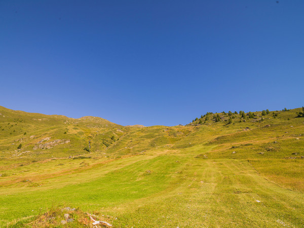 Über dem Nebelmeer, Munt bei Ardez im Unterengadin