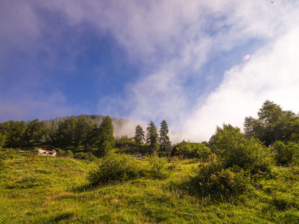 Über dem Nebelmeer, Munt bei Ardez im Unterengadin