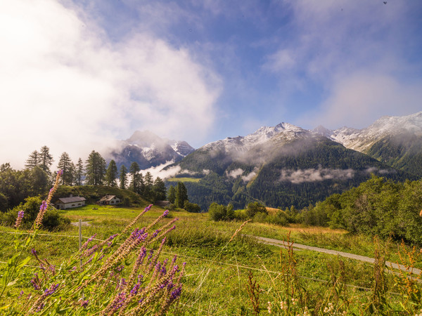 Über dem Nebelmeer, Munt bei Ardez im Unterengadin