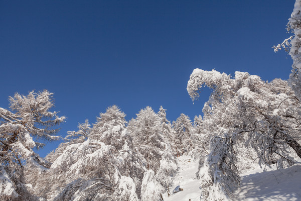 Ardez, Unterengadin, Graubünden, Schweiz