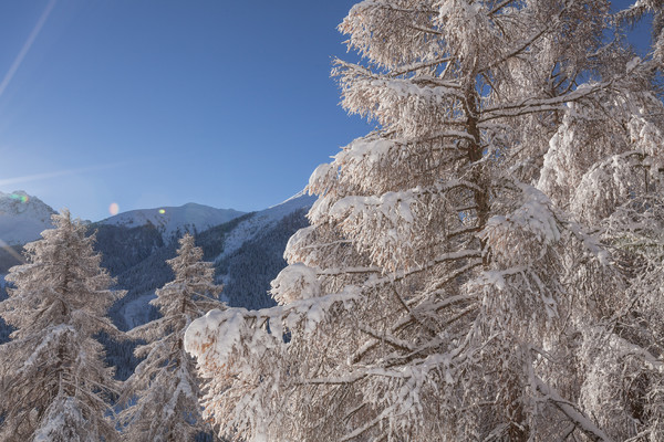 Ardez, Unterengadin, Graubünden, Schweiz