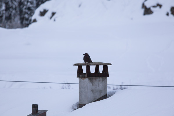 Ardez, Unterengadin, Graubünden, Schweiz