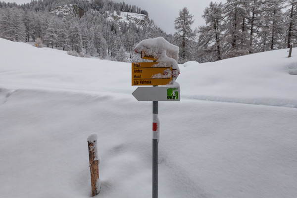 Ardez, Unterengadin, Graubünden, Schweiz