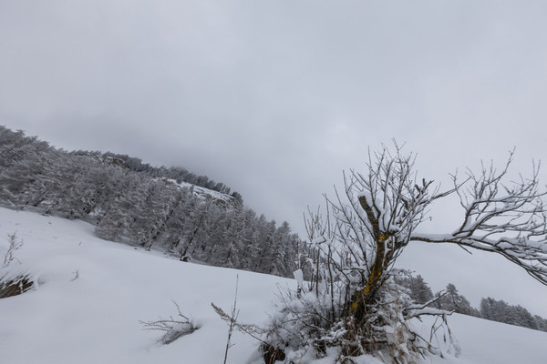 Ardez, Unterengadin, Graubünden, Schweiz