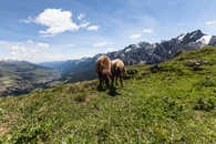 Foto: Aussicht vom Crap Puter südlich von Ardez, Unterengadin, Graubünden