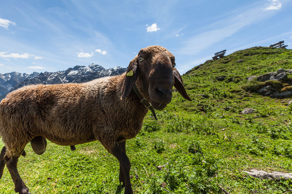 Ardez, Unterengadin, Graubünden, Schweiz