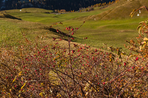 Ardez, Unterengadin, Graubünden, Schweiz