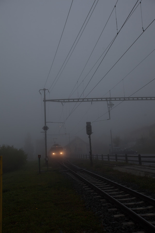 Die Rhätische Bahn im Nebel bei Ardez im Unterengadin.
