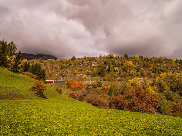 Unterwegs mit der Rhätischen Bahn bei herrlicher Herbststimmung bei Ardez im Unterengadin.