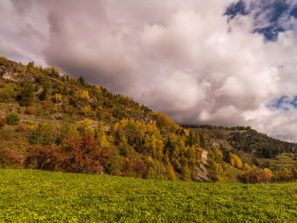 Unterwegs mit der Rhätischen Bahn bei herrlicher Herbststimmung bei Ardez im Unterengadin.