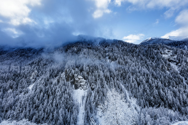 Winterstimmung bei Ardez im Unterengadin.