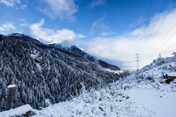 Winterstimmung bei Ardez im Unterengadin.