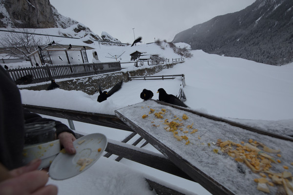 Ardez im Unterengadin, Graubünden