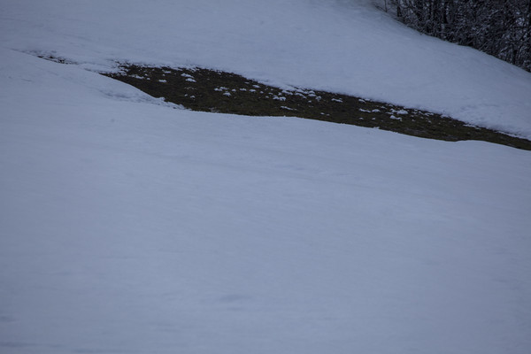 Ardez, Unterengadin, Graubünden, Schweiz