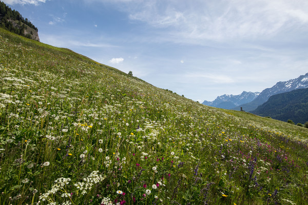 Ardez, Unterengadin, Graubünden, Schweiz