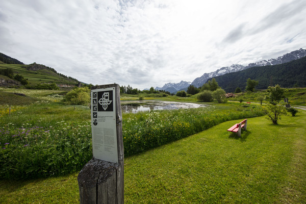 Ardez, Unterengadin, Graubünden, Schweiz