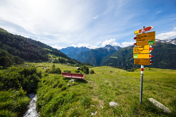 Ardez, Unterengadin, Graubünden, Schweiz, Munt, Alp, Prümerans, Teas