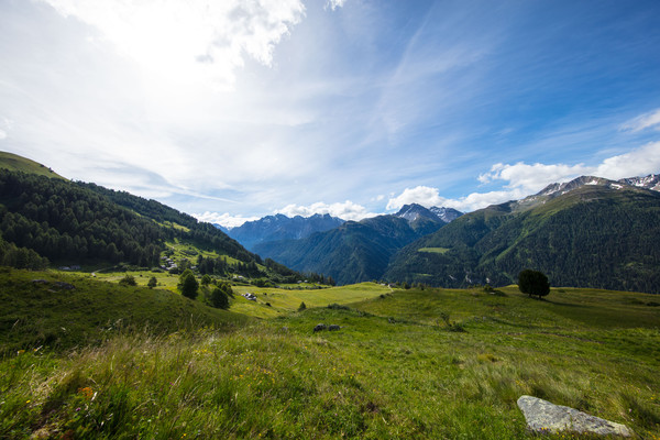 Ardez, Unterengadin, Graubünden, Schweiz, Munt, Alp, Prümerans, Teas