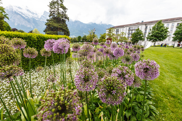 6. Schweizerische Triennale der Skulptur in Bad Ragaz