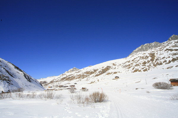 Bergalga, hinteres Avers Tal, Graubünden, Schweiz