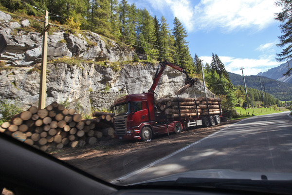Holztransporter in Bergün