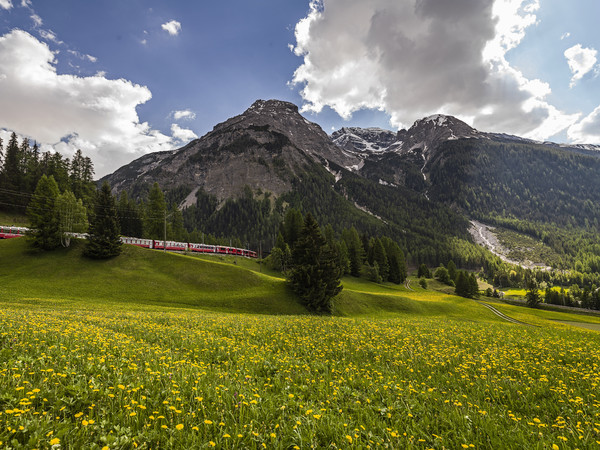Bernina Express bei Bergün im Albulatal