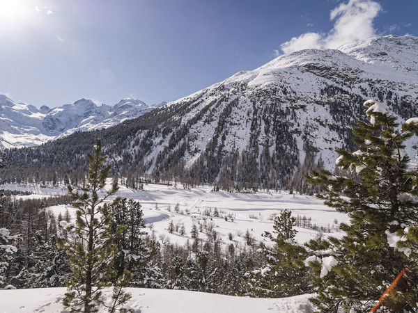 Die Rhätische Bahn bei Morteratsch