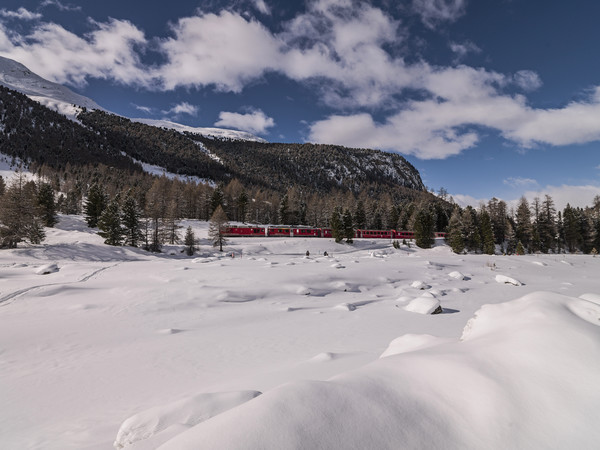 Die Rhätische Bahn bei Morteratsch