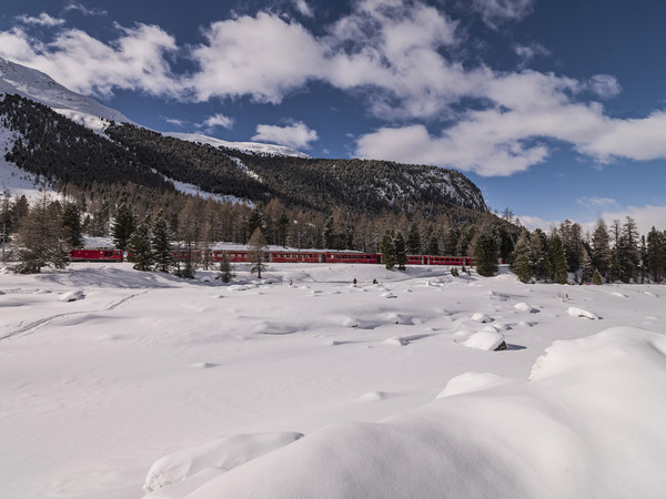 Die Rhätische Bahn bei Morteratsch